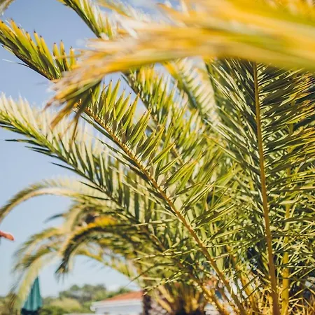 Sunset Hideaway - A Private Paradies Apartamento