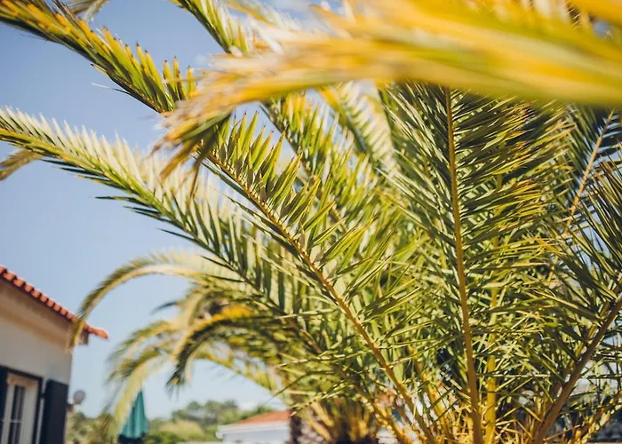 Sunset Hideaway - A Private Paradies شقة